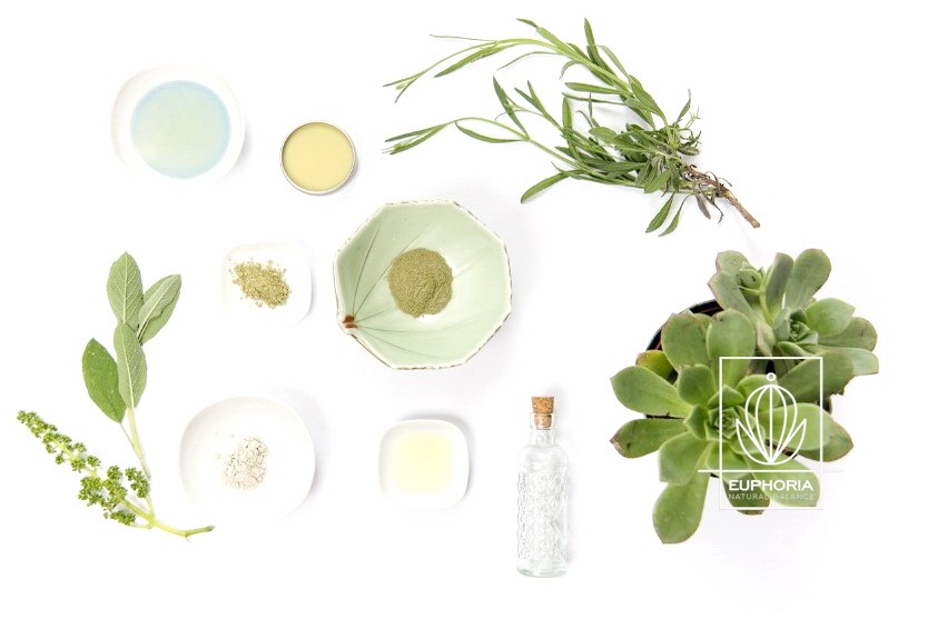 EUPHORIA SPECIAL CARE  PRODUCTS